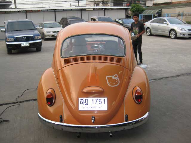 Name:  back.jpg
Views: 198
Size:  31.9 KB