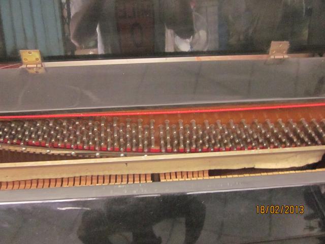 Name:  IMG_2965.jpg
Views: 629
Size:  40.6 KB