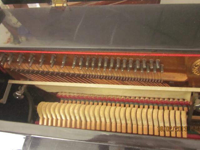 Name:  IMG_2963.jpg
Views: 263
Size:  37.5 KB