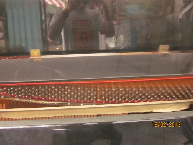 Name:  IMG_2964.jpg
Views: 228
Size:  35.6 KB