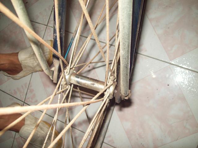 Name:  100_2801.jpg
Views: 476
Size:  43.6 KB