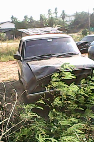 Name:  IMG0132A.jpg
Views: 174
Size:  59.2 KB