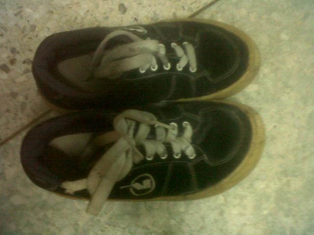 Name:  IMG00684-20130226-1235.jpg
Views: 58
Size:  31.3 KB