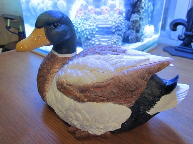 Name:  003.jpg
Views: 1103
Size:  45.6 KB