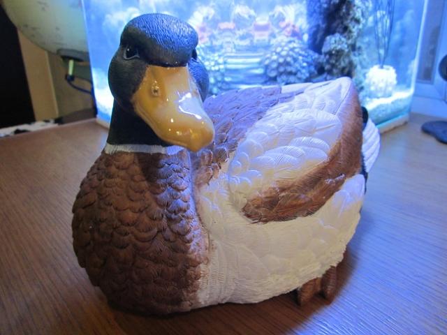 Name:  004.jpg
Views: 1106
Size:  43.0 KB