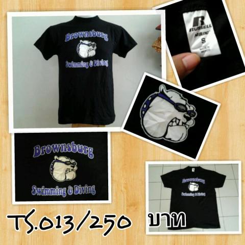 Name:  TS.013.jpg
Views: 77
Size:  37.1 KB