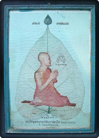 Name:  Picture 3147-vert.jpg
Views: 894
Size:  30.1 KB