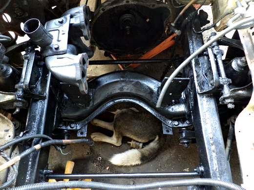 Name:  DSC02957.JPG
Views: 318
Size:  137.4 KB