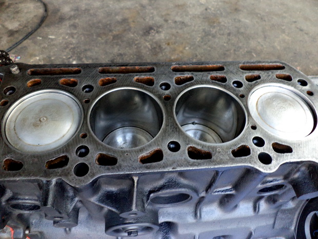 Name:  DSC02948.JPG
Views: 339
Size:  145.0 KB