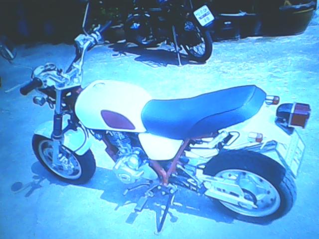 Name:  IMG0045A.jpg
Views: 1515
Size:  44.1 KB