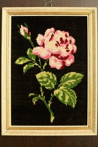 Name:  547550_439315449457557_1417777368_n.jpg
Views: 957
Size:  34.0 KB