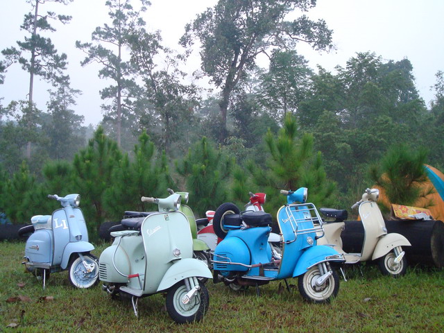 Name:  DSC01680.jpg
Views: 159
Size:  146.5 KB