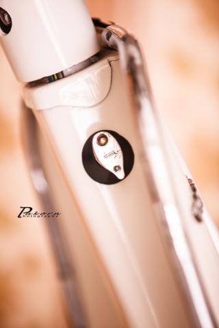 Name:  IMG_0039.jpg
Views: 2657
Size:  14.1 KB