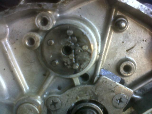 Name:  IMG00751-20130323-1514.jpg
Views: 159
Size:  34.3 KB