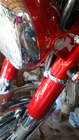 Name:  DSC_0439.jpg
Views: 8899
Size:  28.5 KB