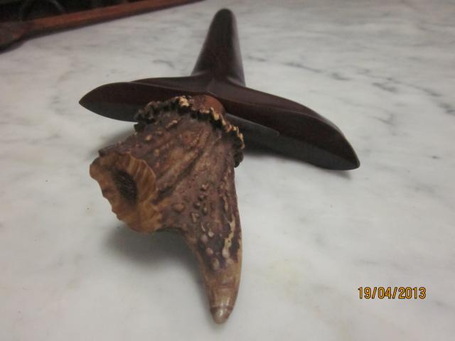 Name:  IMG_3309.jpg
Views: 579
Size:  22.0 KB