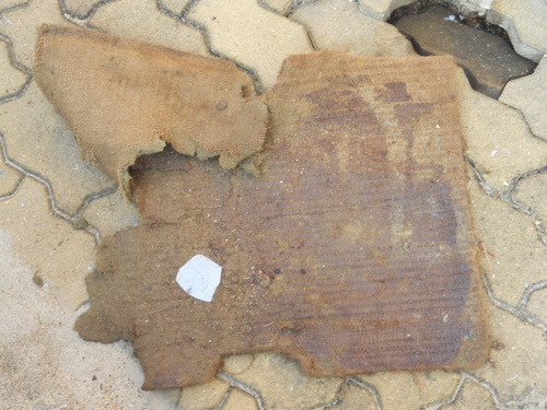 Name:  DSCN3650.JPG
Views: 210
Size:  94.2 KB