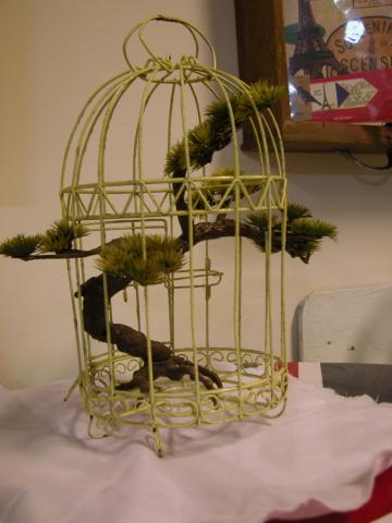 Name:  DSCN0102 (2).jpg
Views: 730
Size:  23.9 KB