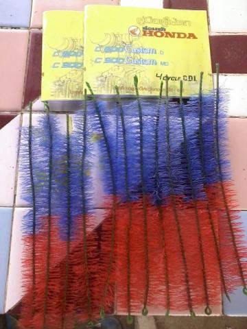 Name:  558999_530842203625889_1861673620_n.jpg
Views: 1014
Size:  33.4 KB