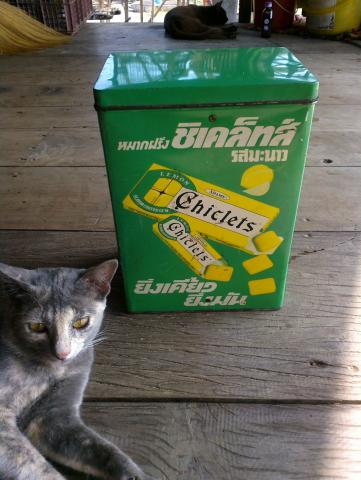 Name:  2013-04-25-0299_1.jpg
Views: 430
Size:  31.8 KB