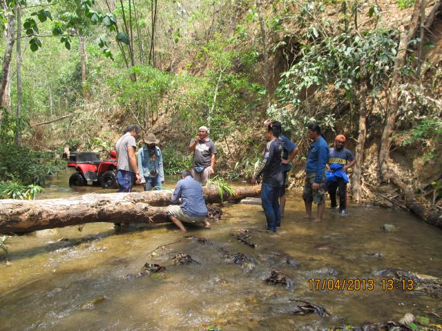 Name:  IMG_9874.jpg
Views: 317
Size:  88.0 KB