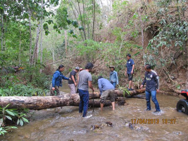 Name:  IMG_9875.jpg
Views: 321
Size:  85.9 KB