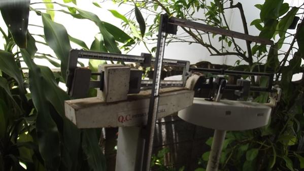 Name:  DSCF6381.jpg
Views: 806
Size:  36.6 KB