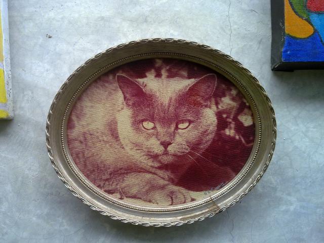 Name:  170420134322.jpg
Views: 364
Size:  54.4 KB