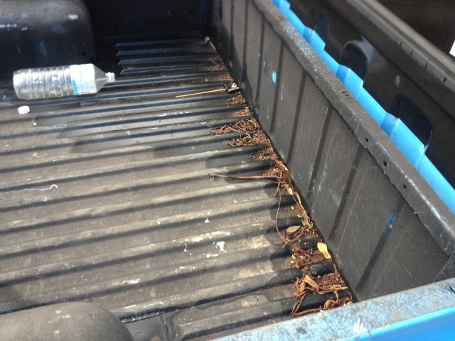 Name:  IMG_0810.jpg
Views: 106
Size:  86.0 KB