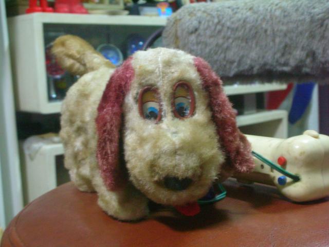 Name:  DSCN5308.jpg
Views: 871
Size:  36.3 KB