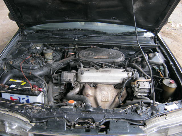 Name:  IMG_2387.JPG
Views: 420
Size:  80.3 KB