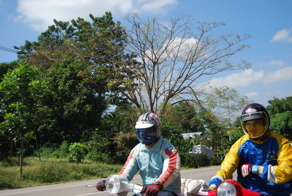 Name:  DSC_0126..jpg
Views: 421
Size:  123.8 KB