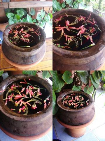 Name:  SANY0817-tile.jpg
Views: 734
Size:  39.2 KB