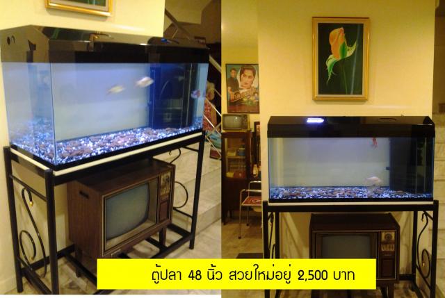 Name:  .jpg
Views: 405
Size:  44.8 KB