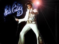 Name:  Elvis_Presley.jpg
Views: 740
Size:  16.0 KB