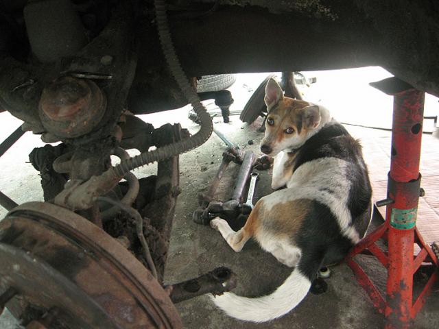 Name:  IMG_5038.jpg
Views: 450
Size:  46.7 KB