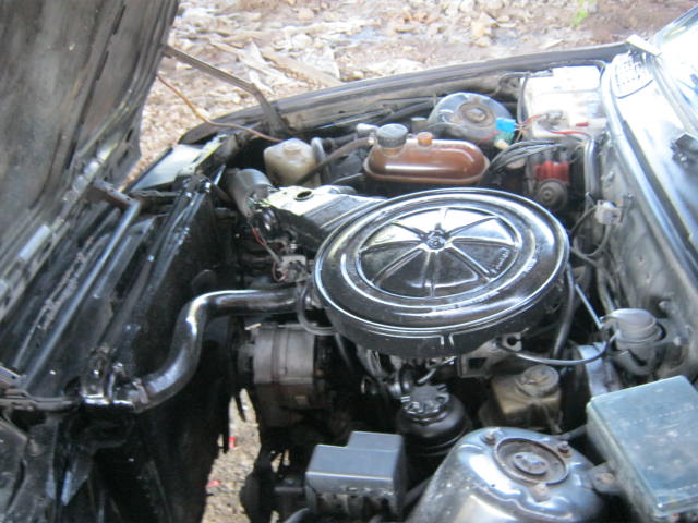 Name:  IMG_2478.JPG
Views: 432
Size:  76.6 KB
