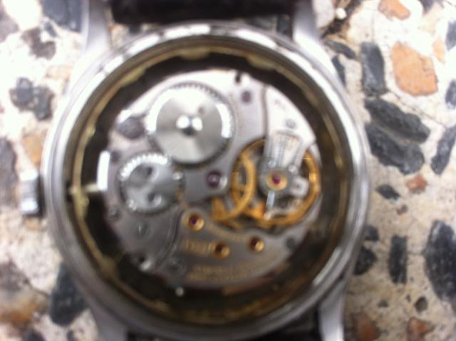 Name:  IMG_3627[1].jpg
Views: 307
Size:  35.4 KB