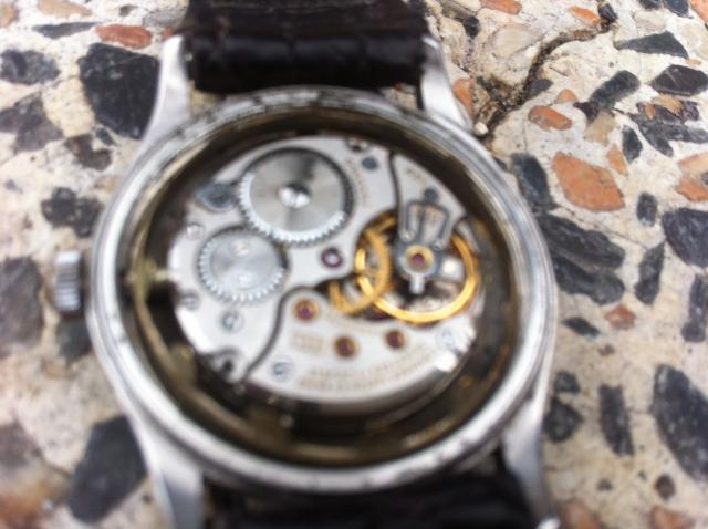 Name:  IMG_3626[1].jpg
Views: 289
Size:  43.5 KB