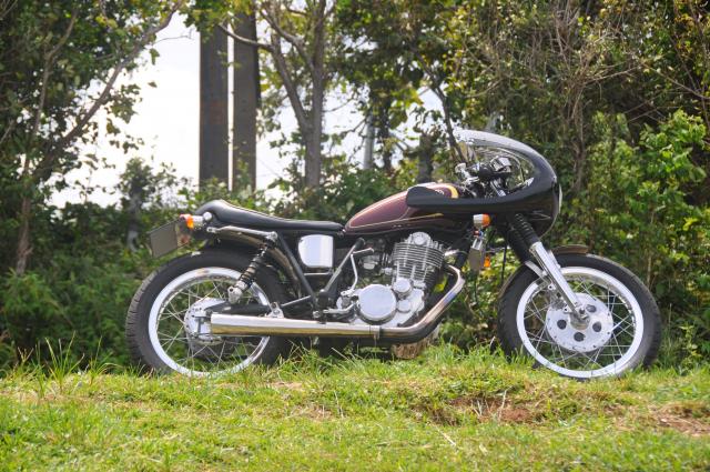 Name:  DSC_1388.jpg
Views: 1574
Size:  75.8 KB