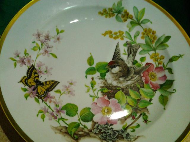 Name:  20130605_161954.jpg
Views: 562
Size:  41.0 KB