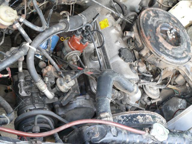 Name:  P1040049.jpg
Views: 3286
Size:  65.8 KB