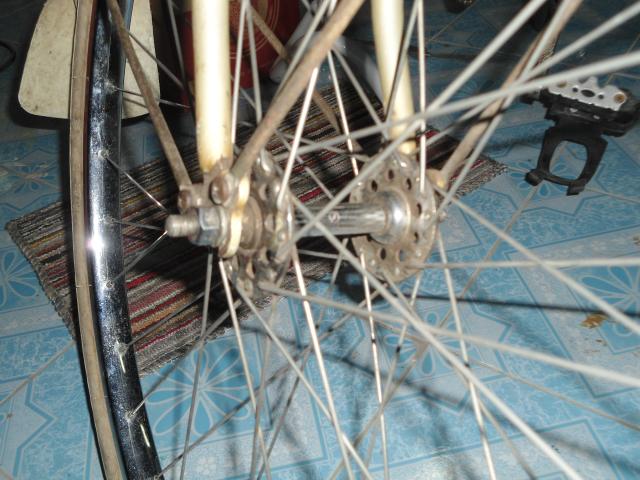 Name:  DSC02217.jpg
Views: 343
Size:  57.3 KB