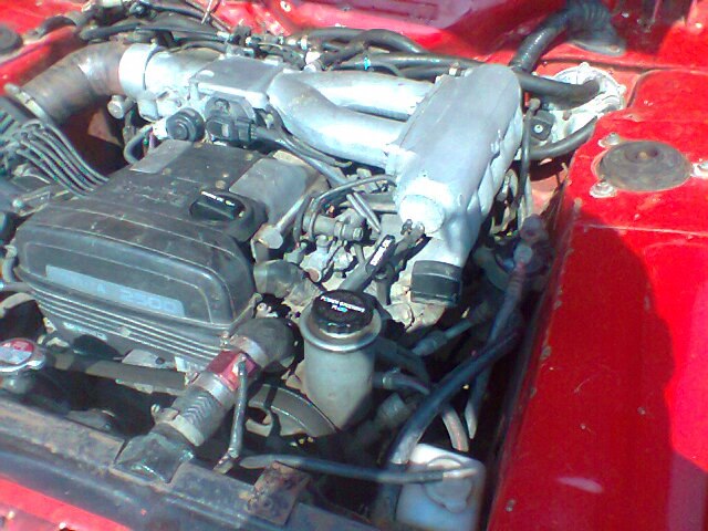 Name:  309788_195818207231538_1955252653_n.jpg
Views: 1135
Size:  80.4 KB