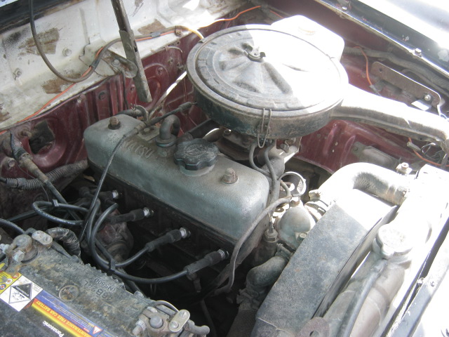 Name:  IMG_3881.jpg
Views: 4721
Size:  131.2 KB