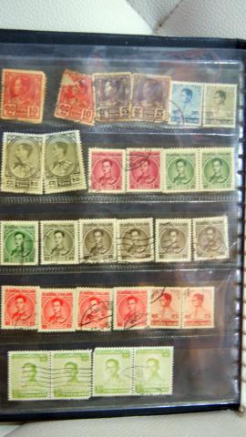 Name:  DSC09799.jpg
Views: 773
Size:  27.2 KB