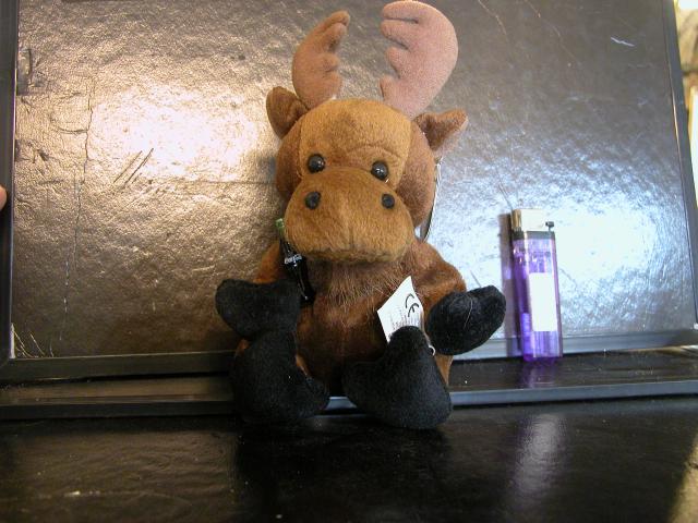 Name:  DSCN0065.jpg
Views: 500
Size:  53.1 KB