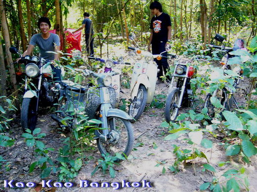 Name:  ijkyty.jpg
Views: 913
Size:  141.9 KB