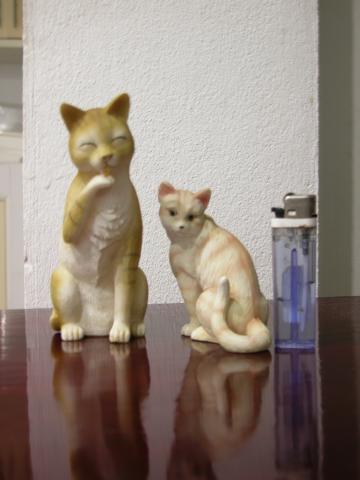 Name:  DSCN0121.jpg
Views: 729
Size:  20.5 KB