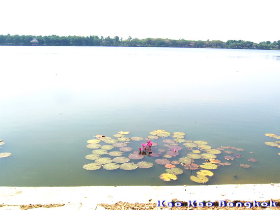 Name:  fggh.jpg
Views: 383
Size:  56.6 KB